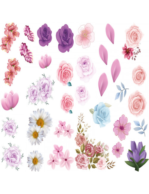 Colección "Florecer" Horizontal