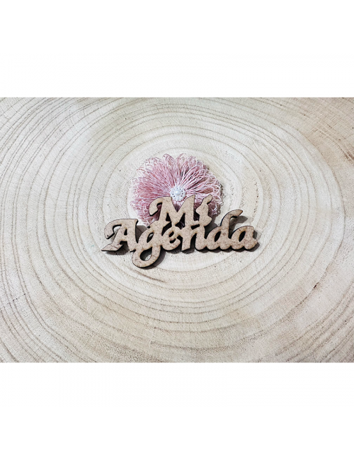 Mi agenda